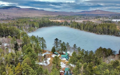 15 Hamlin loop
