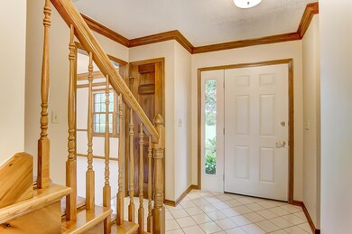 full_size_20004392-006