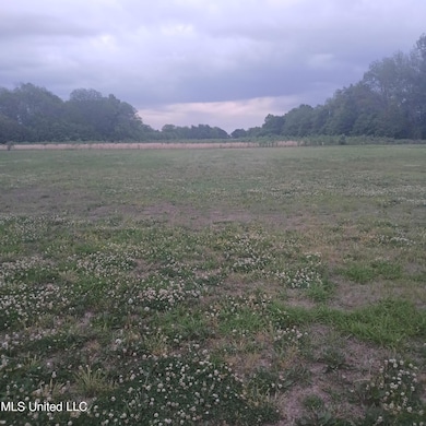 0 Mhoon Landing Pkwy, Tunica, MS 38676 - photo 5