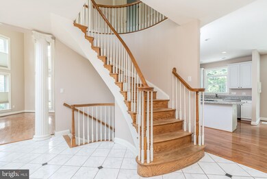 8502 Summershade Dr, Odenton, MD 21113 - photo 6