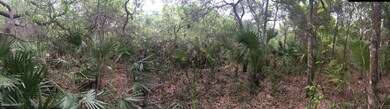 wooded lots