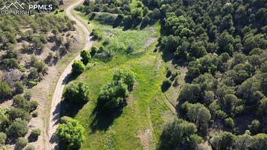 Aerial view featuring a wooded view
