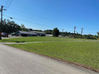 Lot 5 Riley Rd, Dandridge, TN 37725 - photo 6