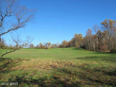 0 Grimsley Rd unit 1004220206, Flint Hill, VA 22627 - photo 5