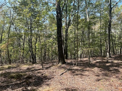 0 Westfall Rd, Ancram, NY 12502 - photo 6