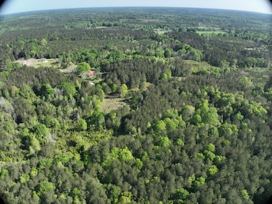 DJI_20250410092741_0003_V