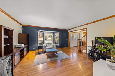 430 Grove Ct, Batavia, IL 60510 - photo 6