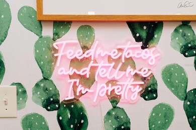 360 78th Ave unit 3, Saint Pete Beach, FL 33706 - photo 5