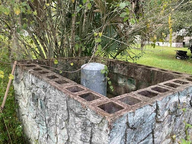 111 W Oak St, Palatka, FL 32177 - photo 2