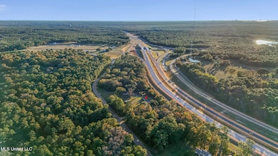 10305 Highway 57, Vancleave, MS 39565 - photo 7