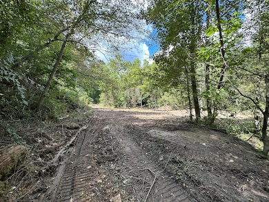 1730 Williams Creek, Rush, KY 41168 - photo 6