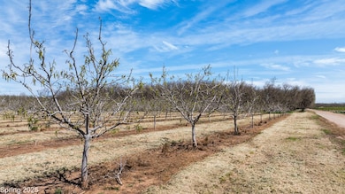 5210 N Fine Rd, Linden, CA 95236 - photo 5