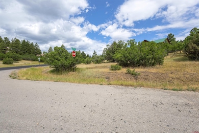 8 Caballero Dr, Pagosa Springs, CO 81147 - photo 4
