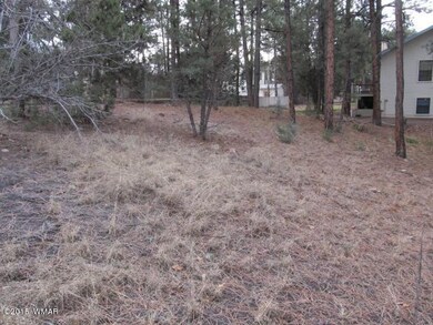 1241N42Drive (1)