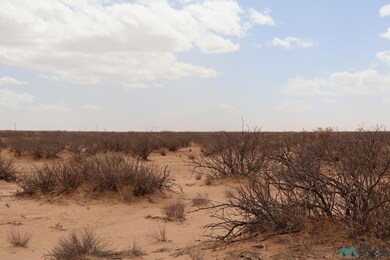 0 Ojo Rd SW unit 20251306, Deming, NM 88030 - photo 6