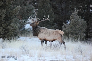 31 Rogers Ln, Boulder, MT 59632 - photo 2