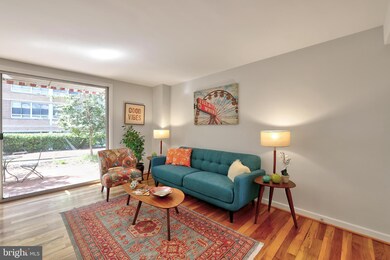 745 3rd St SW unit 403, Washington, DC 20024 - photo 4