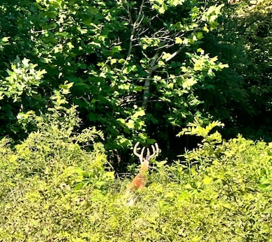 State Route 124, Pomeroy, OH 45769 - photo 6