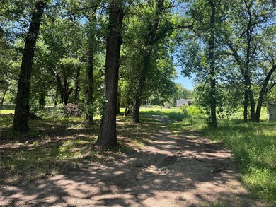 View of nature