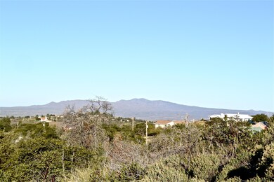 DSC_1393