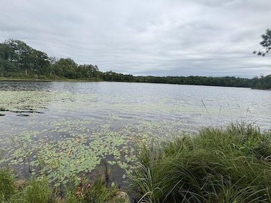 TBD Andrus Lake Trail NE, Crooked Lake Township, MN 56662 - photo 2