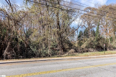 00 Elizabeth St, Clinton, SC 29325 - photo 3