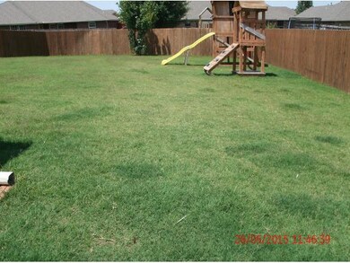 Back yard