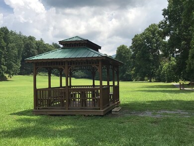 415 Chatawa Ct, Ellijay, GA 30540 - photo 4