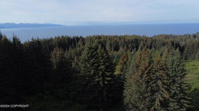 DJI_0893