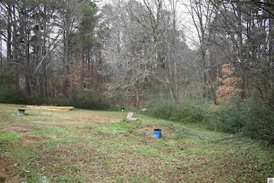 86 Campisi Rd, Benton, KY 42025 - photo 3