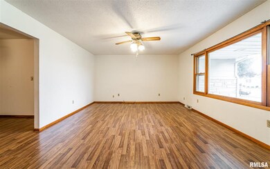 8 Sycamore Ln, Lincoln, IL 62656 - photo 4