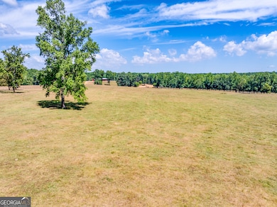 1650 & 1620 Locklin Cemetery Rd, Monroe, GA 30656 - photo 4