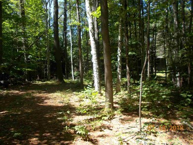 000 Langley Rd, Newport, NH 03773 - photo 4