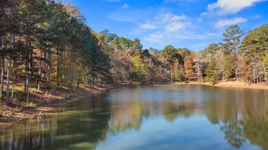 1800 Osprey Poynte, Greensboro, GA 30642 - photo 6