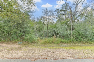 37807 Galleria Oaks Ln, Magnolia, TX 77362 - photo 6