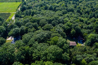 20200717-DJI_0331