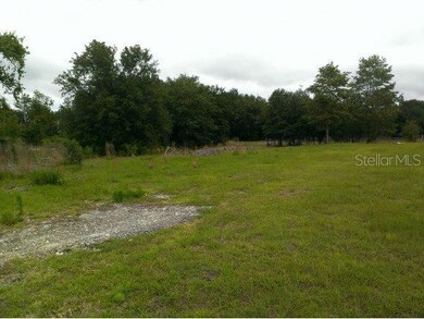 7051 SE 210 Ave, Morriston, FL 32668 - photo 2