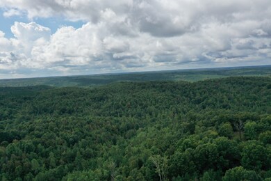 0 Old Hwy 20, Linden, TN 37096 - photo 3