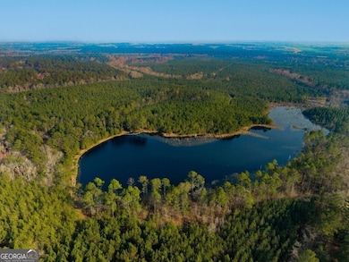 9418 Donnell Rd, Cobbtown, GA 30420 - photo 3