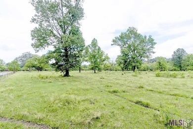 TBD La Hwy 68, Port Hudson, LA 70748 - photo 4