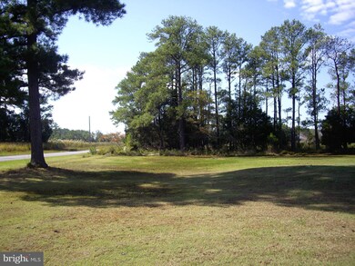 2734 Bishops Head Rd, Toddville, MD 21672 - photo 3