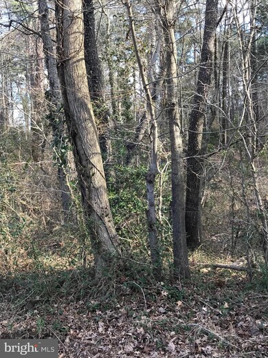 0 Mount Vernon Blvd unit VAFX1184548, Lorton, VA 22079 - photo 6