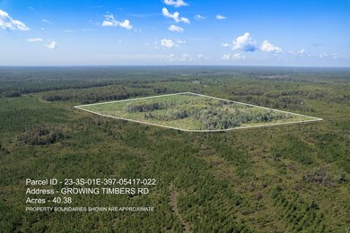 Lot 22 Growing Timbers Rd, Crawfordville, FL 32327 - photo 4