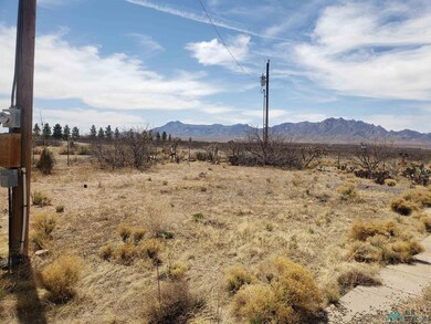 7905 Franklin Rd SE, Deming, NM 88030 - photo 5