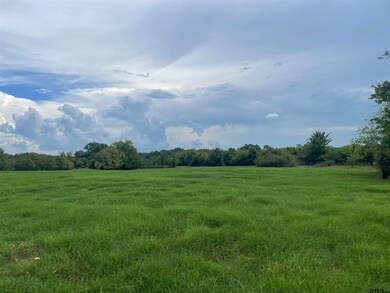 8163 & 8181 Cr 1200, Mount Pleasant, TX 75455 - photo 6