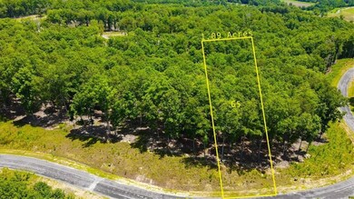 Aerial overview of property's location with property boundaries highlighted and a heavily wooded area