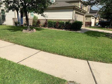 nice pathway towards house