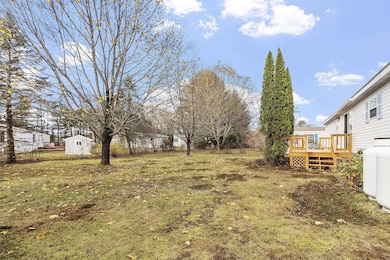 Bak yard and Deck 53 Oak Dr