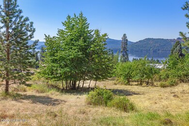 NNA Lacon, Harrison, ID 83833 - photo 5