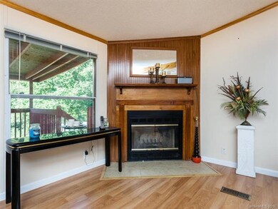 Wood-burning fireplace